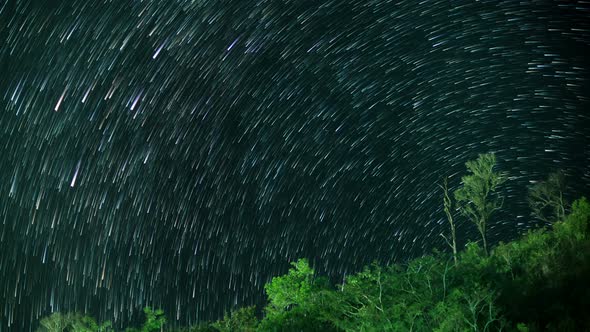 Star Trail In Night Sky