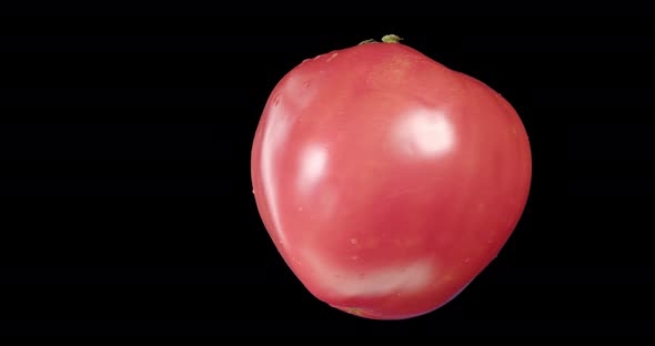 Red Tomato Rotating Alpha Channel