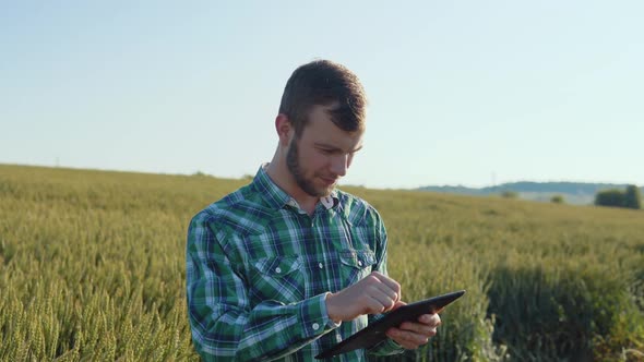 A Young Farmer Agronomist with a Beard Stands in a Field of Wheat Under a Clear Blue Sky and Makes