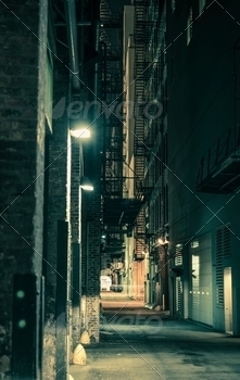 ading. Vertical Chicago Alley Photo.
