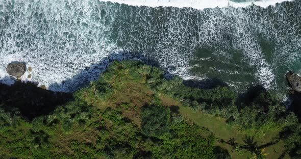 Overhead drone shot of coastline with green trees. Cliff border with sea. The south coast of Java wi