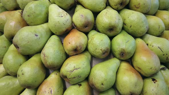 Ripe Pears Background, Camera Movement