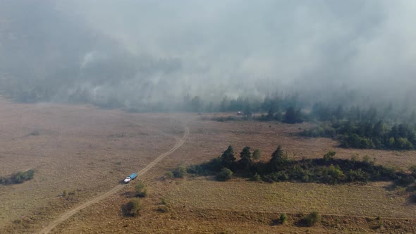 Fire in the forest aerial view. Cinematic aerial shot fire in the forest.