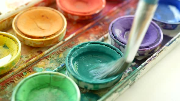 Artists dipping wet paint brush into green watercolor.