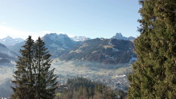 Aerial past trees overlooking beautiful town in valley