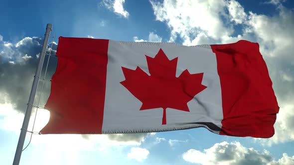 National Flag Canada Also Known As Maple Leaf Fluttering Wind