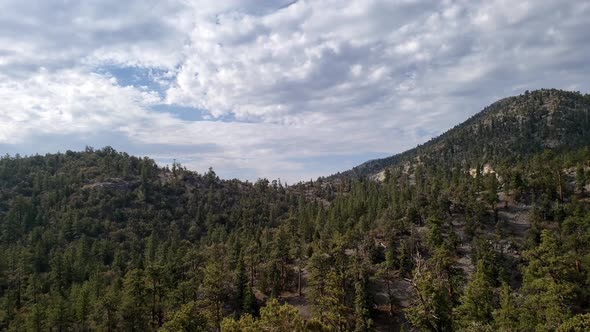 Mountain Top and forest panorama at Mount Charleston Nevada