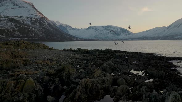 Majestic Snow Covered Mountains And Sea In Tromvik, Kvaloya In Northern Norway - aerial shot