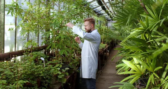 Scientists in a Greenhouse Laboratory Analyzing