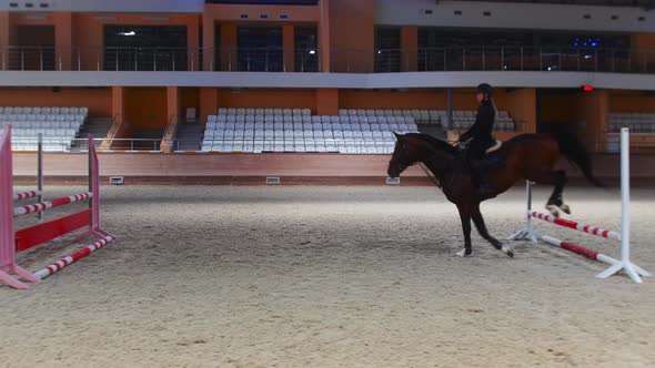 Equestrian Sports  a Woman Running and Jumping Over the Series of Barriers on the Horseback