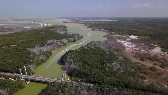 Aerial view on Mexican jungle and a lagoon in Rio Lagartos in Yucatan in Mexico