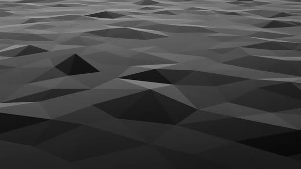 Black Polygons 02