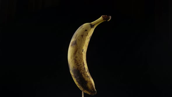 Rotten banana rotate