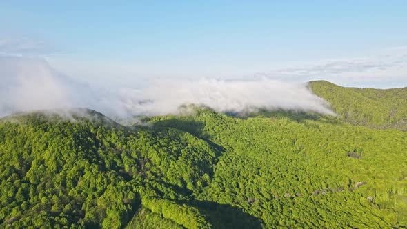 Aerial Flight Over the Mountains Covered with Fog