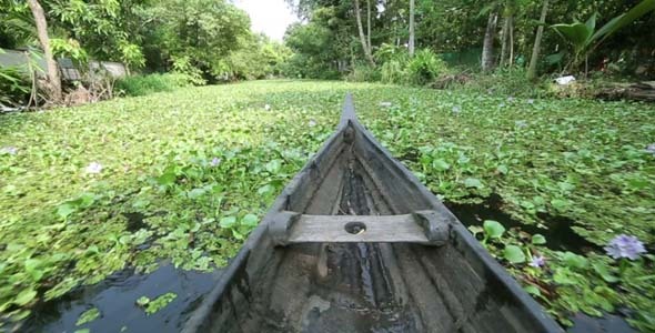 Boat Moving Along Canal At Sunset In Kerala