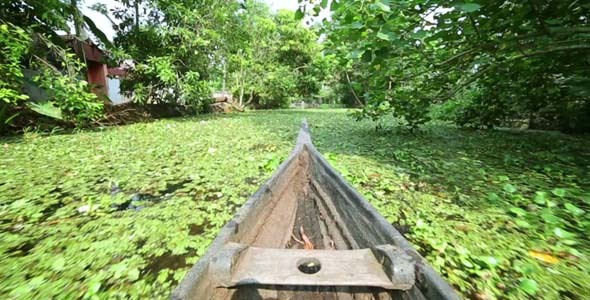 Boat Moving Along Canal At Sunset In Kerala