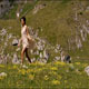 Girl Running In The Mountains - VideoHive Item for Sale