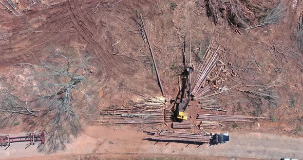 Hydraulic Manipulator Working in Construction Site By Lifting Timbers Moving to Another Place an