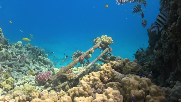 Shipwreck on the Seabed 749