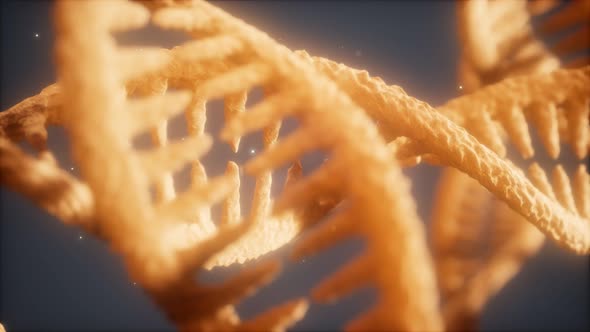 Double Helical Structure of Dna Strand Close-up Animation alt