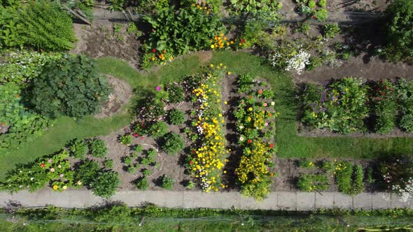 Flower Garden botanical Aerial flying over flowers and butterflies, topdown Aerial