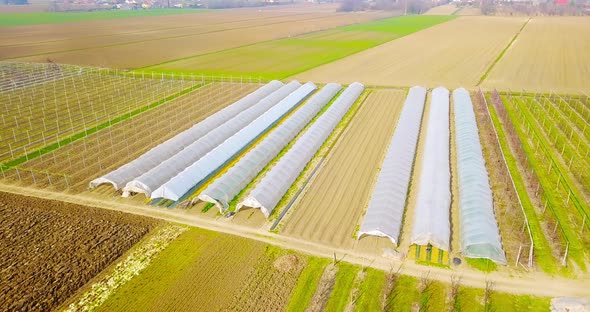 Greenhouses on Green Vineyard Field in Countryside Area