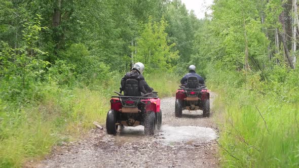 People Riding Quad Bikes in Forest