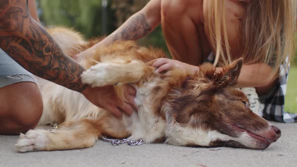 Close Up of Young Couple Petting Their Dog While Having a Walk in Park