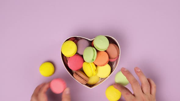 round baked multi-colored almond flour cakes macarons