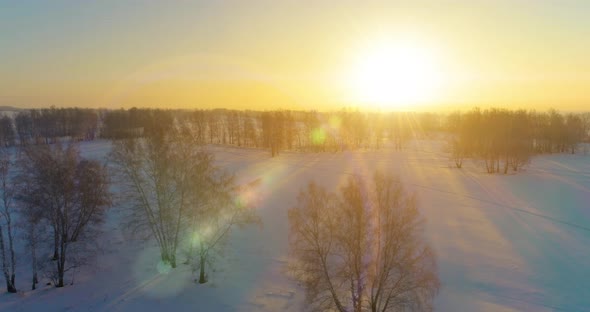 Aerial Drone View of Cold Winter Landscape with Arctic Field Trees Covered with Frost Snow and