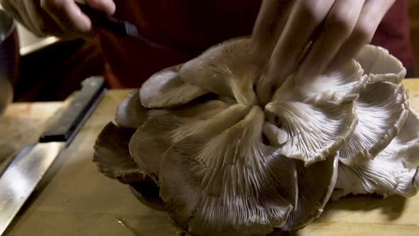 Rotating slider shot of fresh oyster mushrooms on a cutting board while a chef starts cutting off th