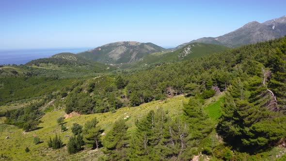 deciduous and coniferous forest mountains overlooking the Ionian Sea in Albanian Riviera. Vlore Coun