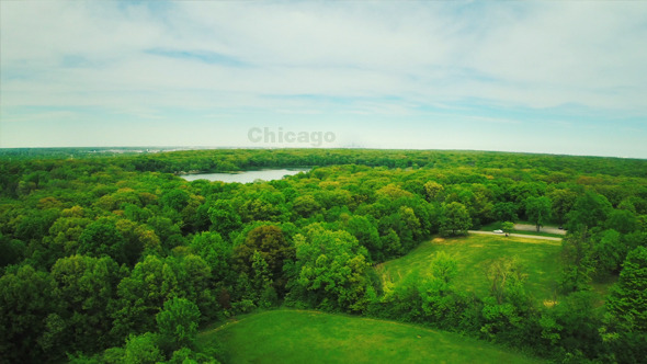 Green Forest Aerial