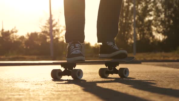 Close Up. A Man Jumps on a Skateboard in Slow Motion. Active Lifestyle and Sports