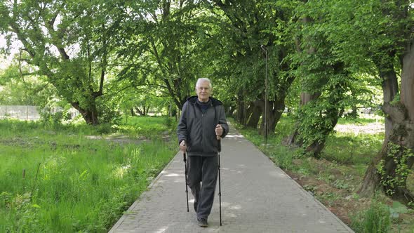 Active Senior Old Man Training Nordic Walking with Ski Trekking Poles in Park alt