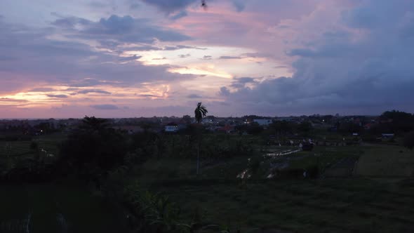 Aerial Dolly Shot of a Bat Flying Above a Small Village and Terraced Farm Plantations in a Tropical