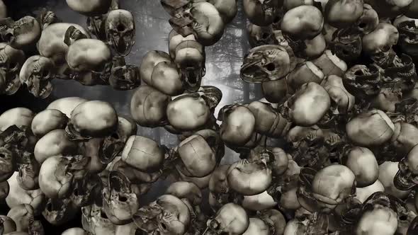 Skull Transition 2 alt