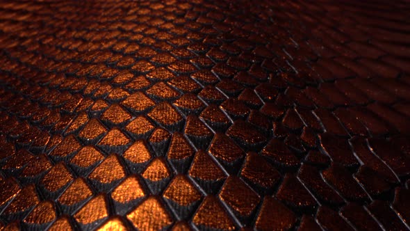 Leather Texture Very Close Up