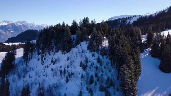 Beautiful rising shot over a hill in Flums, Switzerland. In the background are skiers and snowboarde