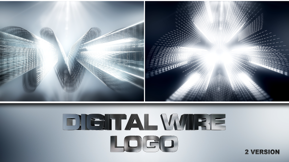 Digital Wire Logo