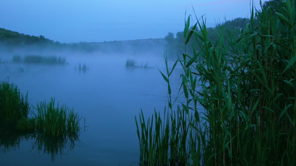 Morning Fog Over the River