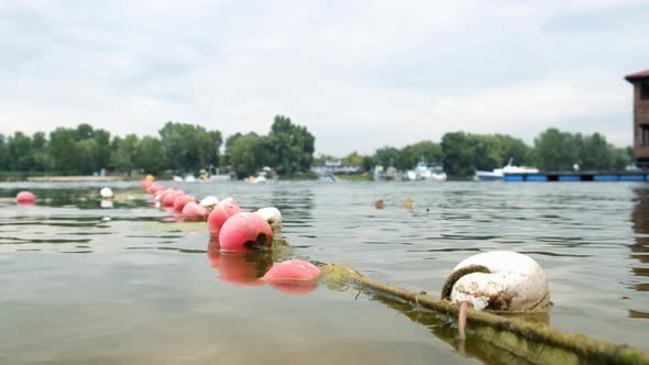 Swimmers Train on the Lake. Safety Buoys in the Foreground