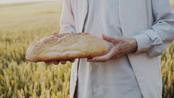 Close View of Farmer's Hands Presents a Loaf of Bread at Camera in Wheat Field