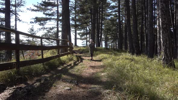 Girl Walks In The Forest