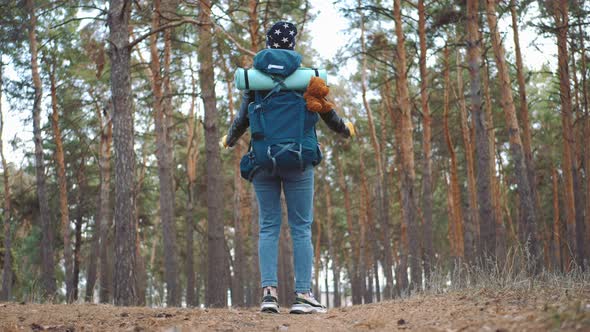 Happy Tourist with Backpack on Forest Pine Trees