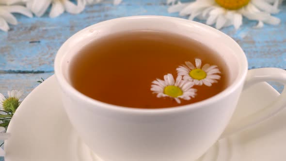 Composition with chamomile flowers and white cup of herbal tea