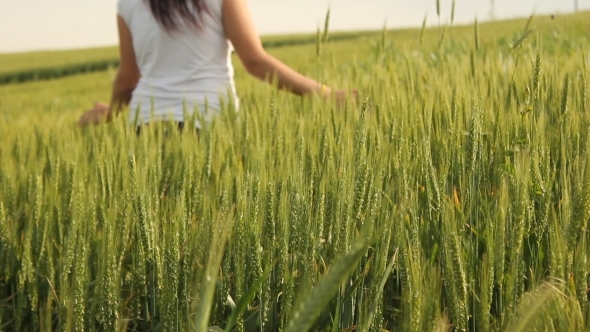 Girl Walking Through Wheat Field