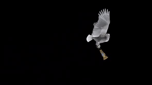 White Owl With Golden Lantern - Flying Transition IV - Alpha Channel alt