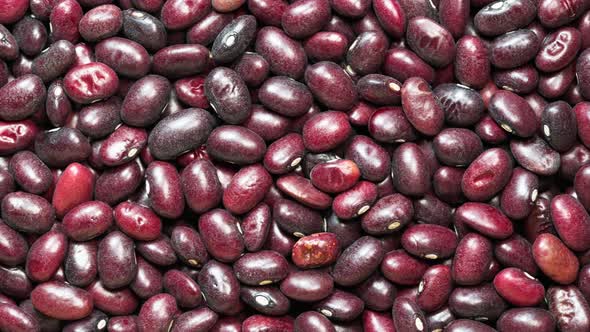 Close-up red beans seeds. slider motion, red beans abstract background.