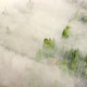 Aerial View of a Mountain Forest is Covered in Morning Fog - VideoHive Item for Sale